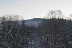 371521036_1594509444687589_6126109393195974632_n