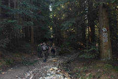 received_187875435429332-2