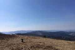 received_647371255710540