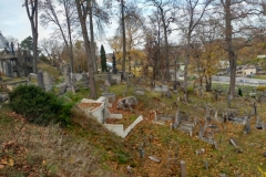 313863153_528684118782166_7224490266484118497_n