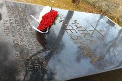 313925521_415298814149850_532786326763592350_n