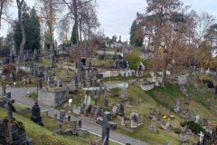 314995565_1703097593417389_7936838325762985430_n