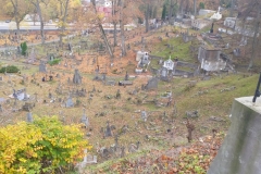 315015637_665926871773261_7077595382830768191_n