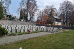 315073098_801495870952554_7018856383089448870_n