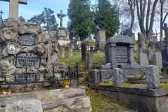 315094466_637031238172065_933228893510402891_n