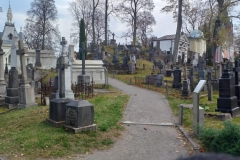 315117945_2947521262216987_6499064144254798271_n