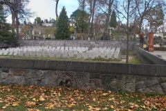 315205043_465060118944761_1893712863759122789_n