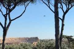 3c5f6d68-92bc-4b46-a19b-8e1d2e6add3c