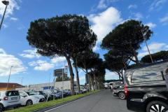 WhatsApp-Image-2025-03-23-at-13.45.38