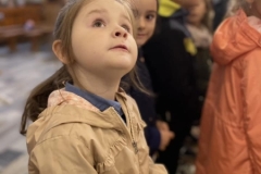 383996150_254939597532572_7775924472489309214_n