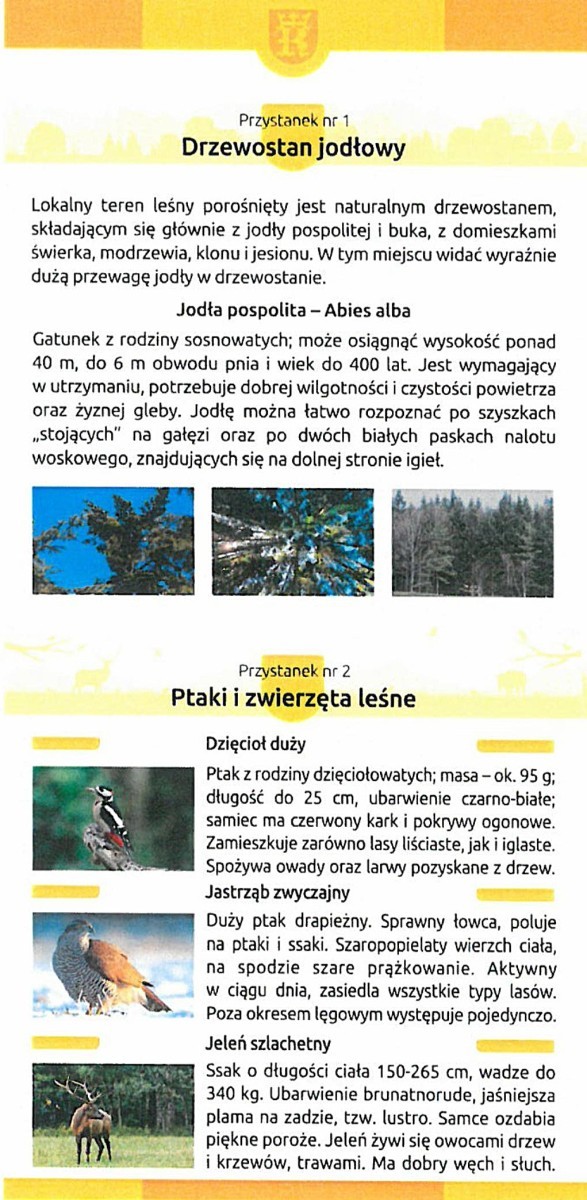 sciezka-1