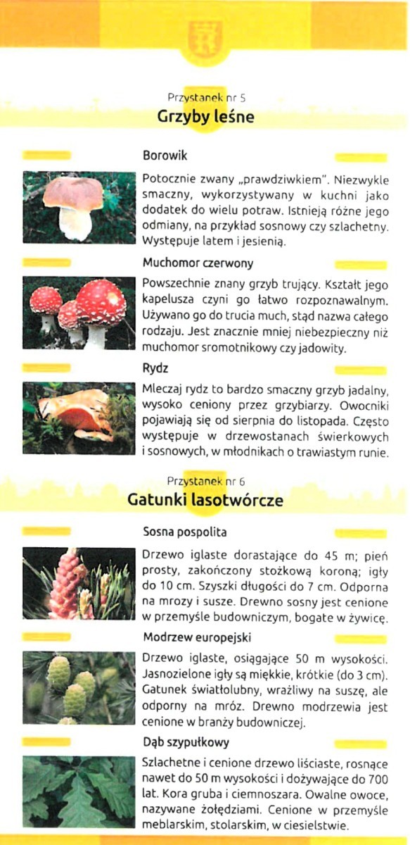 sciezka-3
