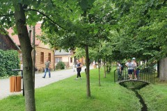 2020-07-25-14.49.57-1