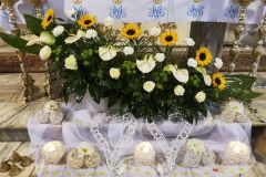 117666714_3709874449040165_3870075196424664599_n