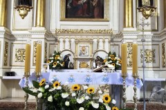 117706450_307632060579525_2696253579769003595_n