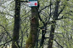 Zawadka-obok-mostu-Zgloszenie-P.-Soltys