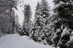 WhatsApp Image 2018-02-15 at 22.51.51