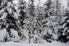 WhatsApp Image 2018-02-15 at 22.51.52