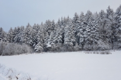 WhatsApp Image 2018-02-15 at 22.51.53 (1)