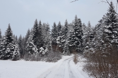 WhatsApp Image 2018-02-15 at 22.51.53