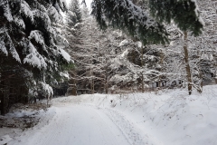 WhatsApp Image 2018-02-15 at 22.51.54 (1)