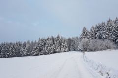 WhatsApp Image 2018-02-15 at 22.51.54