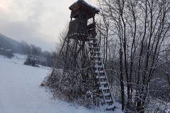 WhatsApp Image 2018-02-15 at 22.51.55 (1)