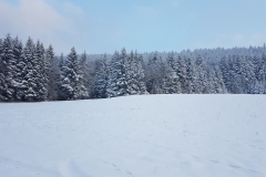 WhatsApp Image 2018-02-15 at 22.51.55