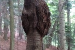 298472345_744001993351177_5956271998810422876_n