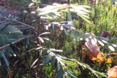 298791149_766629561425209_6015709125980510613_n-1