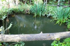 298845292_624934708950318_2045586446810907067_n