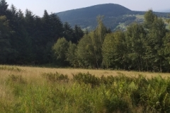 298887014_1094810968129346_73863099223532145_n