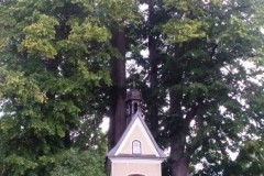 298938103_1106793003603116_1572259896589800121_n