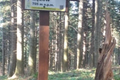 299110853_349618383917232_7636481904425361225_n