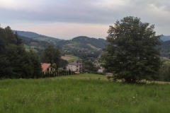 299182589_384452407195197_421710338490222341_n