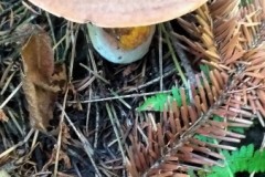 299264172_1352531768606904_5451691245942222701_n