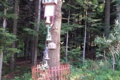 299271743_388917233378632_5516099789600905654_n