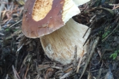 299470267_744065270043163_763423261141417313_n