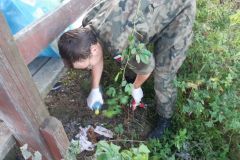 20200922_174138_wynik