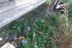 20200922_174218_wynik