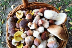 310359157_618187156652282_9123749187524416286_n