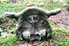 310408703_1270992143699656_382703140224487633_n