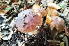 310417574_765685481162487_716994123487619959_n