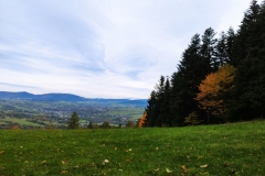 310418082_5396667383785733_6713148515488552641_n