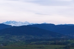 310565345_664845364861766_1414781539004888625_n