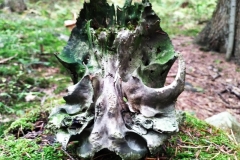 310685622_1126463994965171_6005788318704449321_n