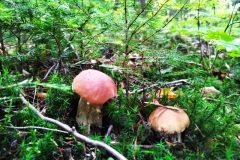 310687273_432824622096632_1871146258593750543_n