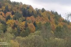 247330931_272271178120449_1800140025899880803_n