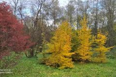 247375048_571576197475148_672819394447012562_n