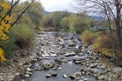 247428500_181983367433932_1901131084469508670_n